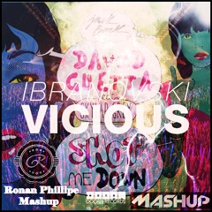 David Guetta & Ibranovski - Shot Vicious Down (feat. Skylar Grey) (Ronan Phillipe Mashup)