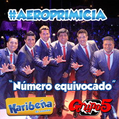 Aeroprimicia: Grupo 5 - "Número equivocado"