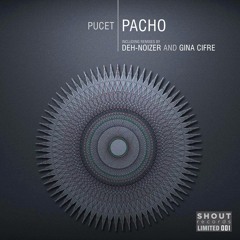 Pucet - Pacho (Deh - Noizer Innerview)