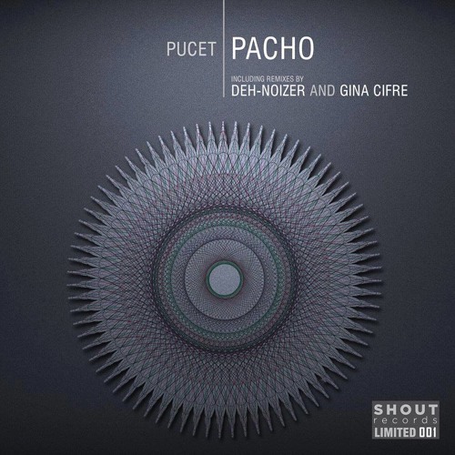 Pucet - Pacho (Deh - Noizer Innerview)