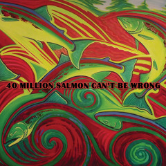 40 Million Salmon Can't Be Wrong