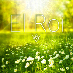 El Roi (Original Mix)