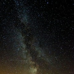 In speed we trust  om Thomas overman - jurre storre