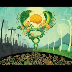 The Polish Ambassador - Vision Fiberoptics ft Sean Haefeli (Sam Mallam Remix)