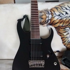 RGIR27FE 7 String Test
