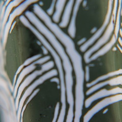 Who Cares What You Think? Vocal Mix