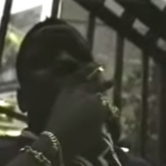 I found an SD card in the rainforest