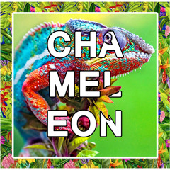 Chameleon (Original Mix)