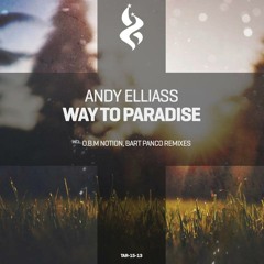 Andy Elliass - Way To Paradise (O.B.M Notion Remix) @ ASOT 705 by Armin Van Buuren