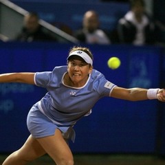 Monica Seles Car Alarm