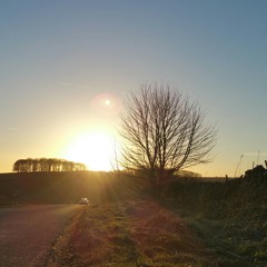 เพราะว่าใจกลัว  Palmy