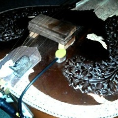 Sitar sound sample captured by Harness MikroTransducer at Jimbaran, Bali