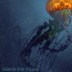 Blaine the Mono Webplayer