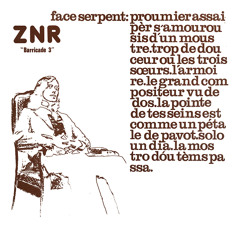 ZNR - La Pointe De Tes Seins Est Comme Un Petale De Pavot (excerpt)