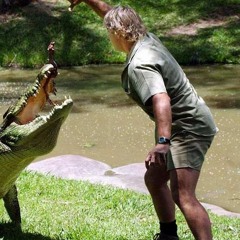 Steve Irwin [Dubstep]