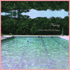 Arde La Pista (Ft. Alejandro Pacheco)