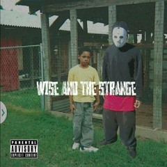 Wise & the Strange(Love It)Prod. Taylor King