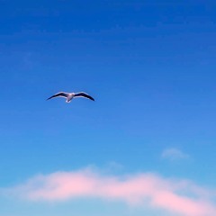 أبوعركي البخيت - أهديك ذاكرتي - عود