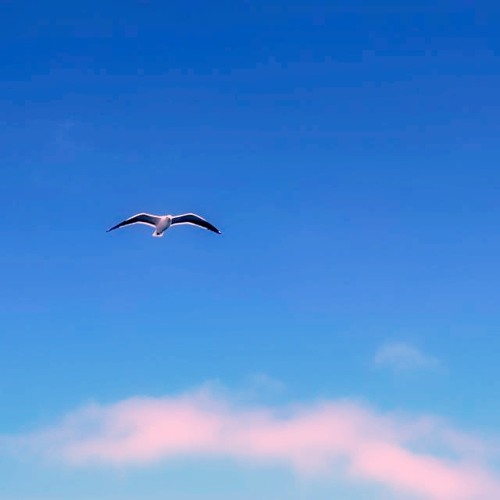 أبوعركي البخيت - أهديك ذاكرتي - عود