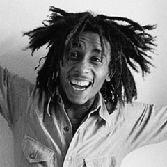 Timestretch vs Bob Marley (Bassnectar Mashup)