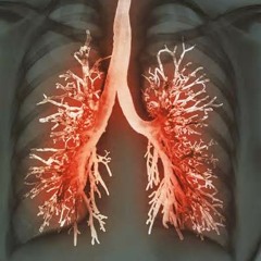 Lungs