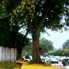 တူးပို႔​ေတးသံျမန္​မာ့သၾကၤန္​....​ေအာင္​ရင္​