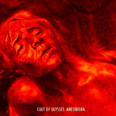 Cult Of Ulysses - Confusion In The Pink Room