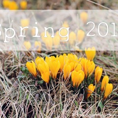 Spring 2015 | house in the sand