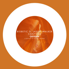 Bisbetic ft. Jason Walker - Canyons (OUT NOW) [Sander van Doorn Identity Premiere]