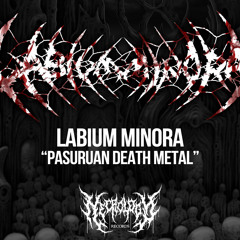 Labium Minora - Curnkiller (Promo CD 2015)