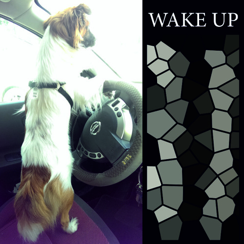 Wake Up