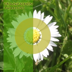 Franz Schön - Awakening (Free Download)