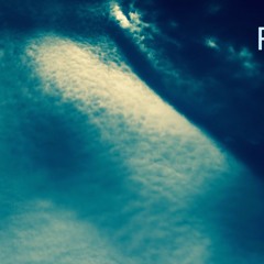 The World You Wanted