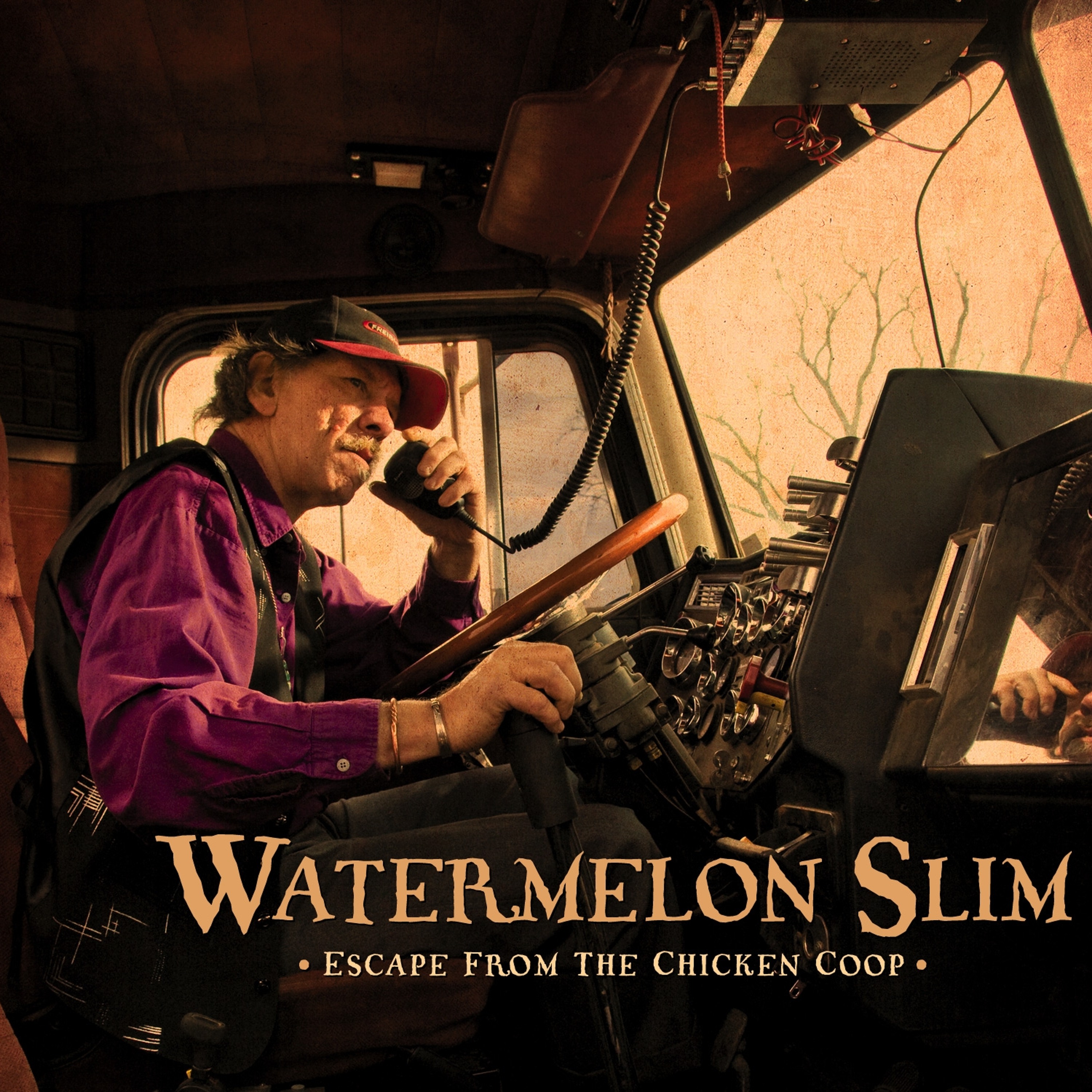 Watermelon Slim live in Nashville, Tuscaloosa in Spring 2010 thumbnail