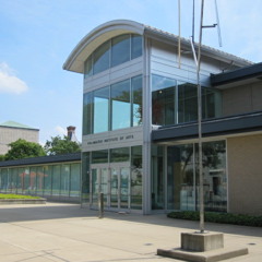 Diane Trupiano: See With Your Ears