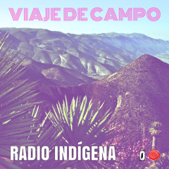 Danza del Venado en Nueva Colonia