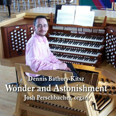 Wonder and Astonishment