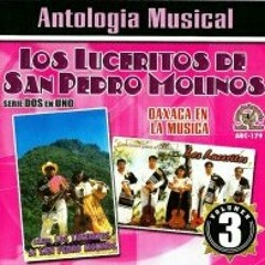 los luceritos de san pedro molinos flor de las flores