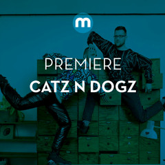 Premiere: Catz N Dogz vs Peter, Bjorn & John 'From Your Heart'