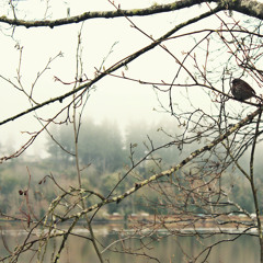 Salt in the Snow/ Who Needs Air Cover (Mash-up)