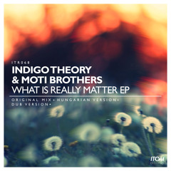Indigo Theory & Moti Brothers- What Is Really Matter (Original Mix)