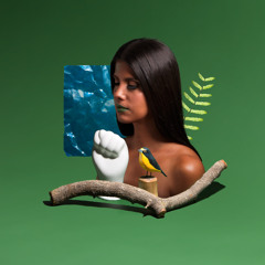 Bicheiro Do Meu Samba