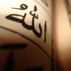 حسن صالح