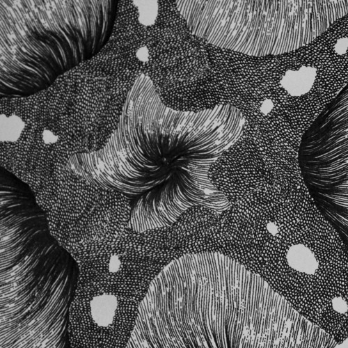 Entreaty (of Ghani Khan)