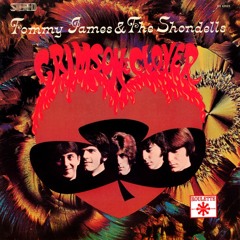 Tommy James and the Shondells - Crimson And Clover (BLND Remix)