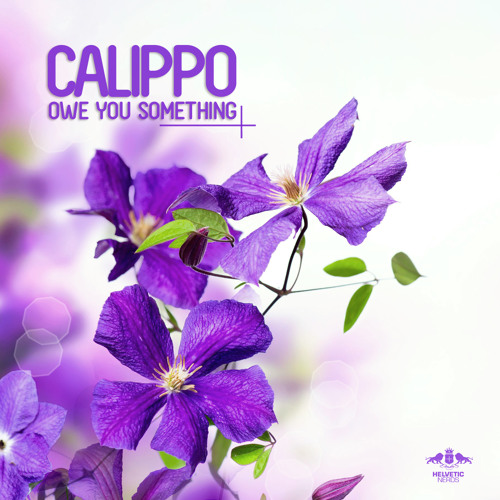 Calippo - Owe You Something (Me & My Toothbrush Radio Mix)