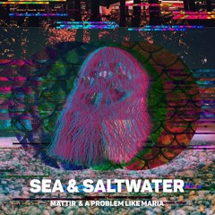 Sea & Saltwater (Mattir & A Problem Like Maria)