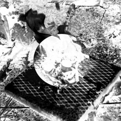 Pissing a Day-Glo Rainbow River (Preview!)