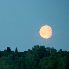 Franz Schubert - Serenade (Ständchen)