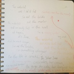 The Life In Cracks #1 (w/Moth Lady and Puzylo)